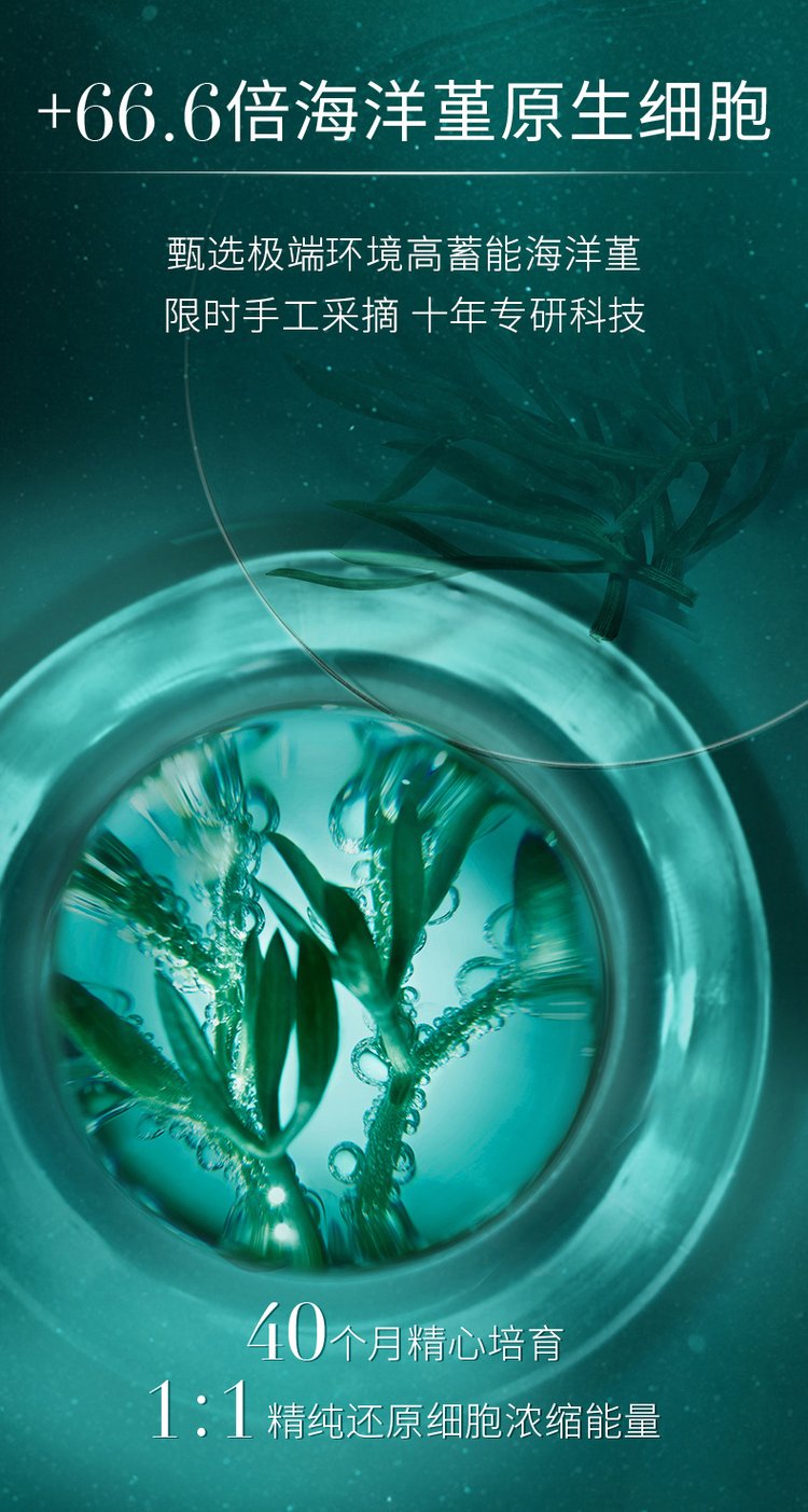 玫瑰爽膚水(圖5) 玫瑰爽膚水詳情介紹