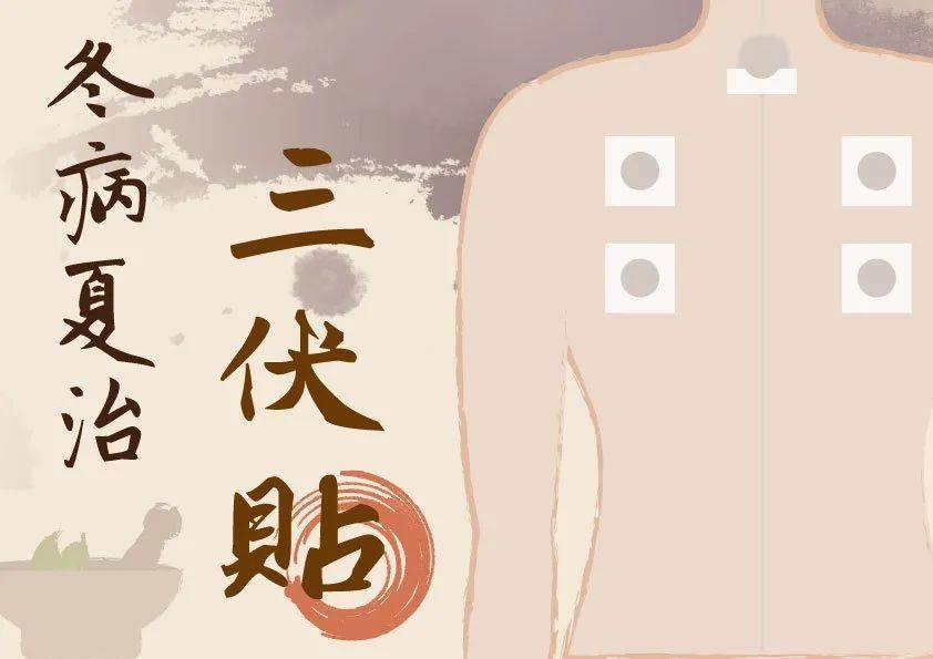【詳解】什么是三伏貼？三伏貼的功效與注意事項！